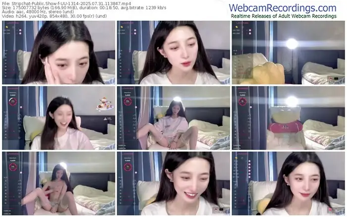 stripchat-uu-1314-07-31-2025-11-38-47