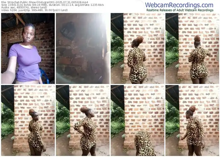 stripchat-holygrail001-07-31-2025-06-53-28