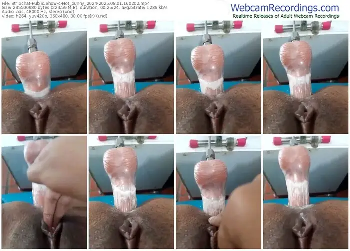 stripchat-hot_bunny_2024-08-01-2025-16-02-02