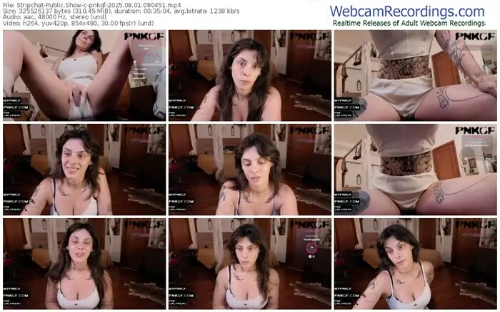 stripchat-pnkgf-08-01-2025-08-04-51