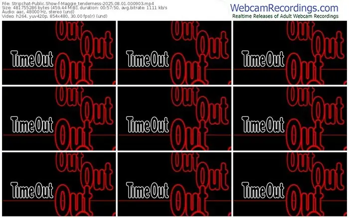 stripchat-maggie_tenderness-08-01-2025-00-09-03