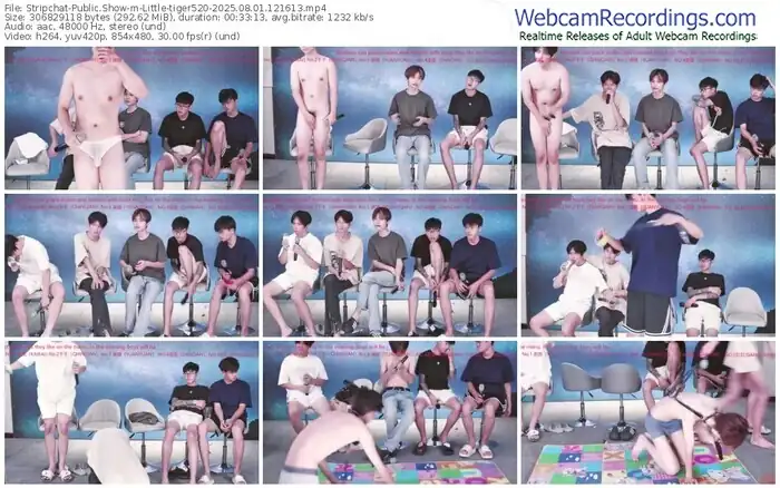 stripchat-little-tiger520-08-01-2025-12-16-13