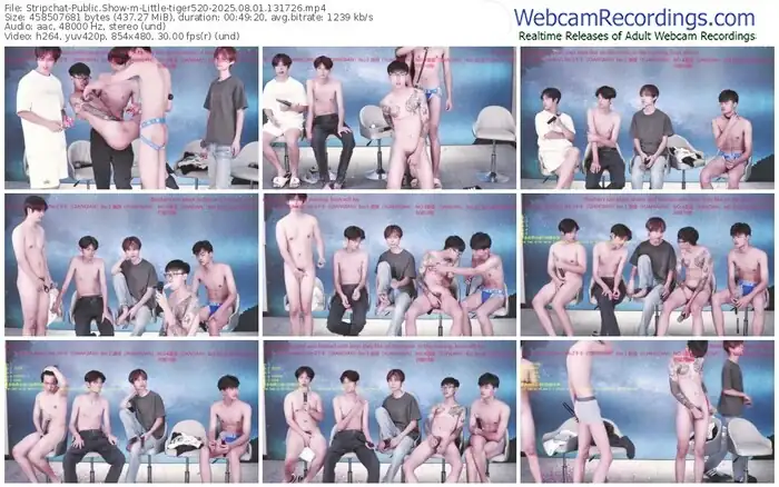 stripchat-little-tiger520-08-01-2025-13-17-26