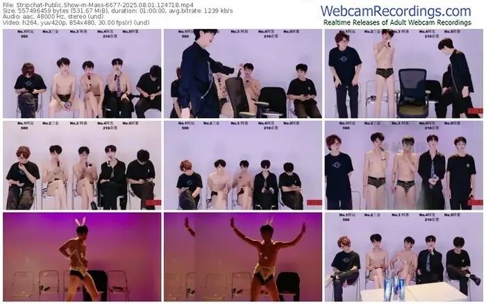 stripchat-mass-6677-08-01-2025-12-47-18
