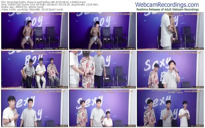 stripchat-perfectboy-88-08-01-2025-14-48-33