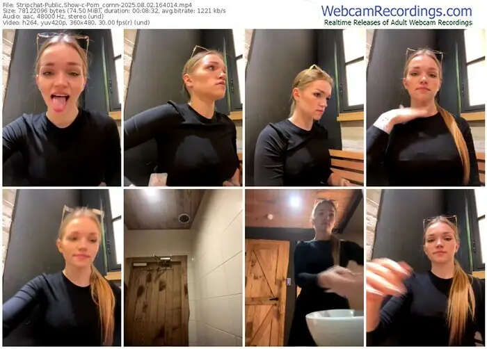 stripchat-porn_cornn-08-02-2025-16-40-14