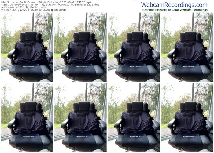 stripchat-dimitrisullivan_-08-02-2025-17-41-32
