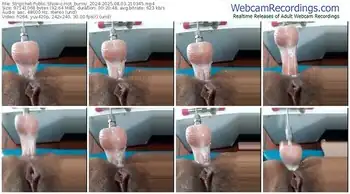 stripchat-hot_bunny_2024-08-03-2025-21-03-45