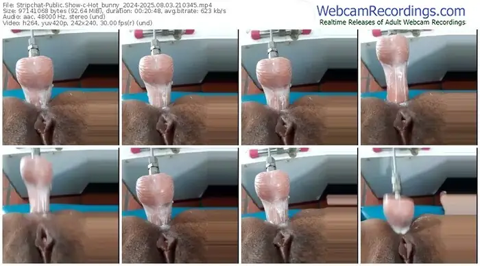 stripchat-hot_bunny_2024-08-03-2025-21-03-45