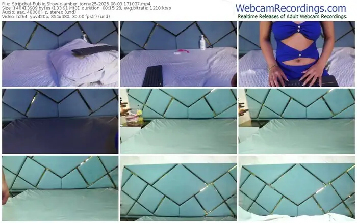 stripchat-amber_tonny25-08-03-2025-17-10-37