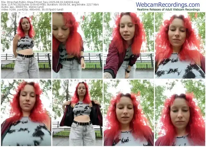 stripchat-frost_foxy-08-03-2025-04-09-18