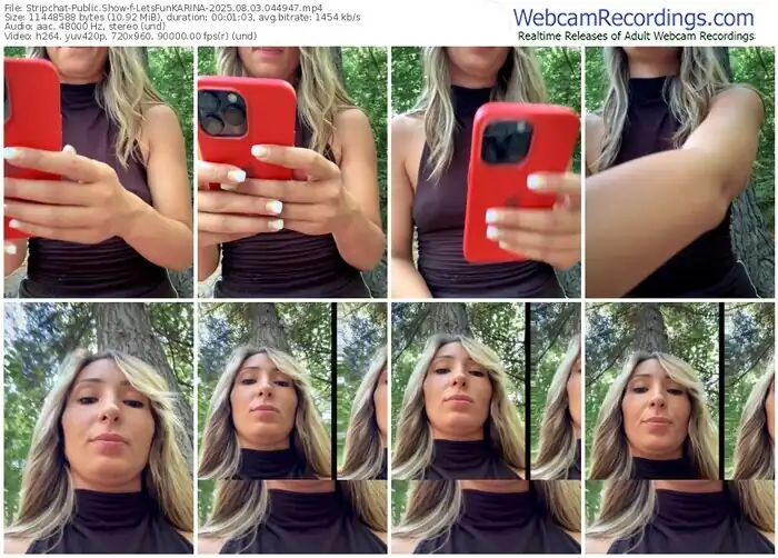stripchat-letsfunkarina-08-03-2025-04-49-47