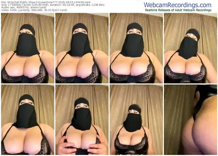 stripchat-queendina777-08-03-2025-19-04-36