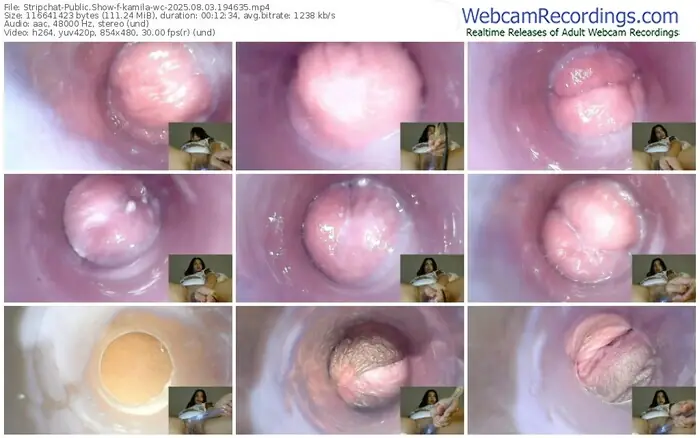 stripchat-kamila-wc-08-03-2025-19-46-35