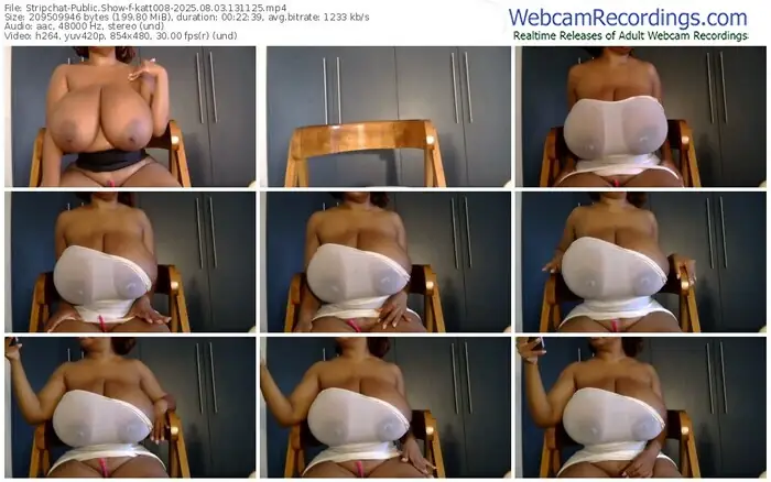 stripchat-katt008-08-03-2025-13-11-25