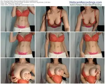 stripchat-ps5pr-08-03-2025-22-46-44