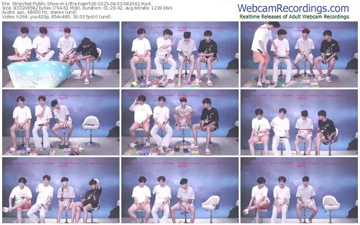 stripchat-little-tiger520-08-03-2025-08-20-42