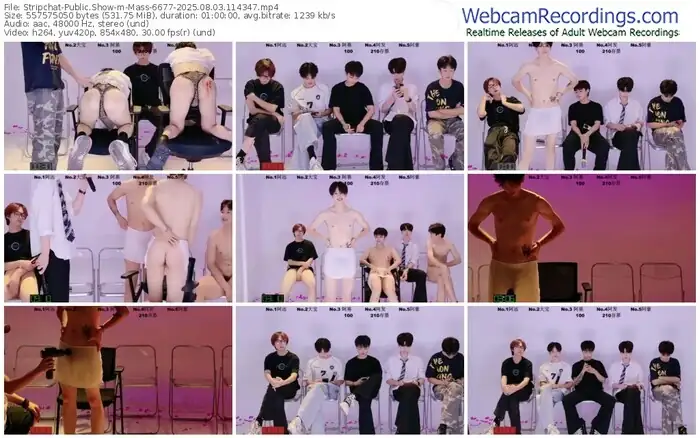 stripchat-mass-6677-08-03-2025-11-43-47