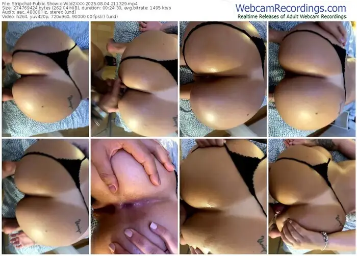 stripchat-wild2xxx-08-04-2025-21-13-29