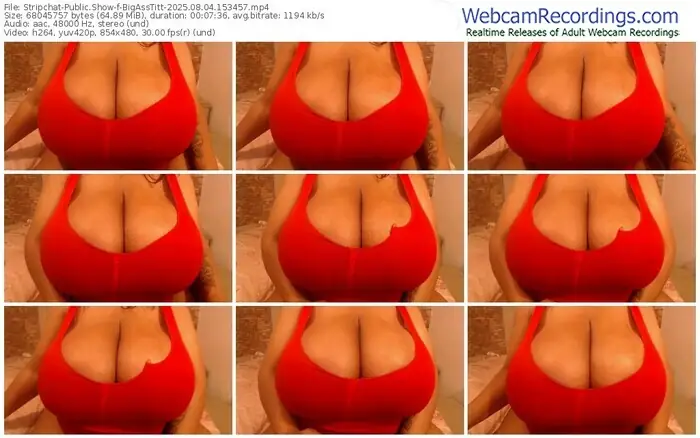stripchat-bigasstitt-08-04-2025-15-34-57