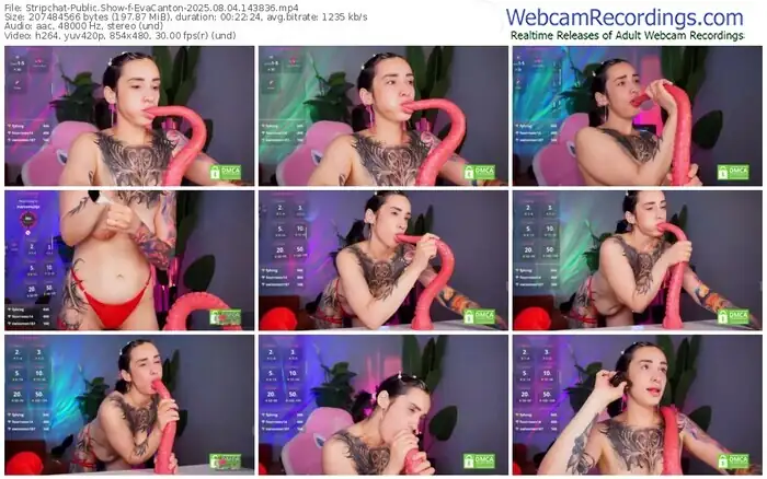 stripchat-evacanton-08-04-2025-14-38-36