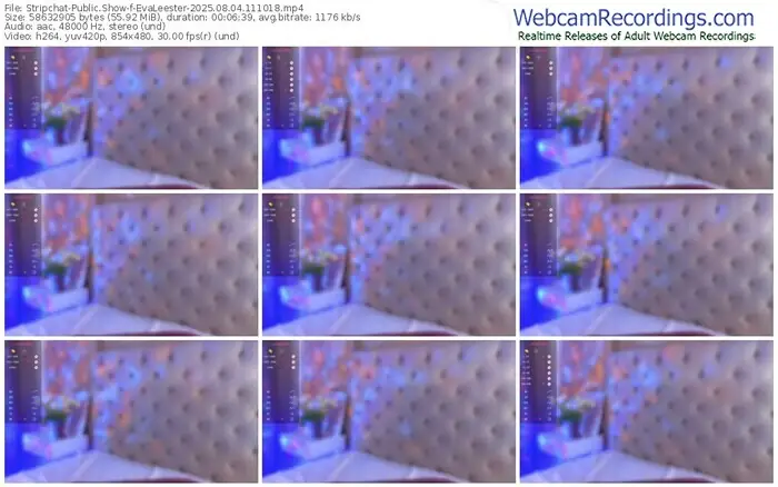 stripchat-evaleester-08-04-2025-11-10-18