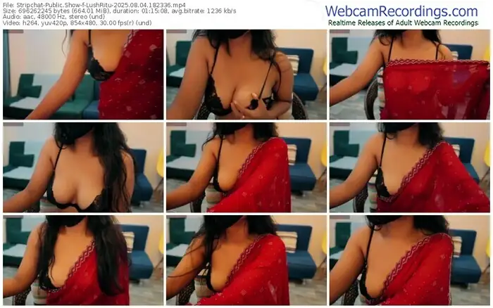 stripchat-lushritu-08-04-2025-18-23-36