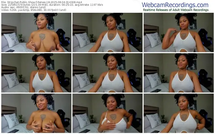 stripchat-renee-18-08-04-2025-01-43-08