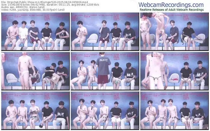 stripchat-little-tiger520-08-04-2025-06-59-06