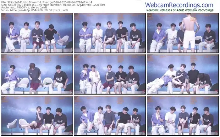 stripchat-little-tiger520-08-04-2025-07-18-47