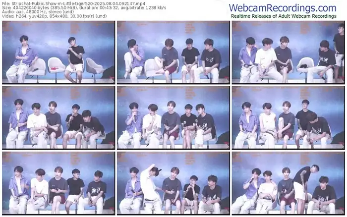 stripchat-little-tiger520-08-04-2025-09-21-47