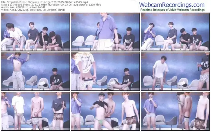 stripchat-little-tiger520-08-04-2025-14-15-45