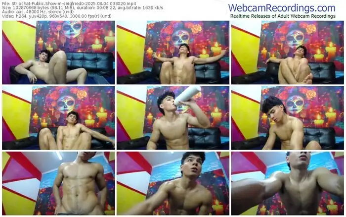 stripchat-seigfried0-08-04-2025-03-30-20