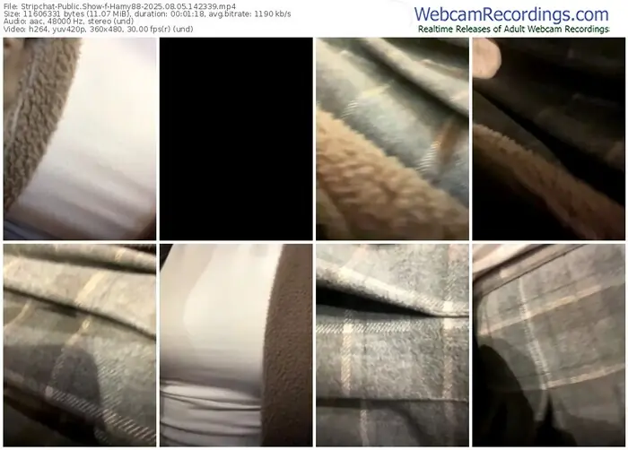 stripchat-hamy88-08-05-2025-14-23-39