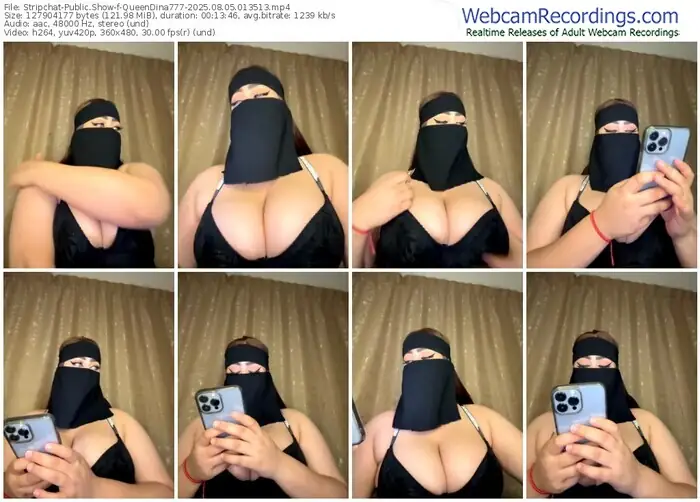 stripchat-queendina777-08-05-2025-01-35-13