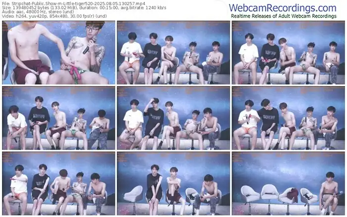 stripchat-little-tiger520-08-05-2025-13-02-57