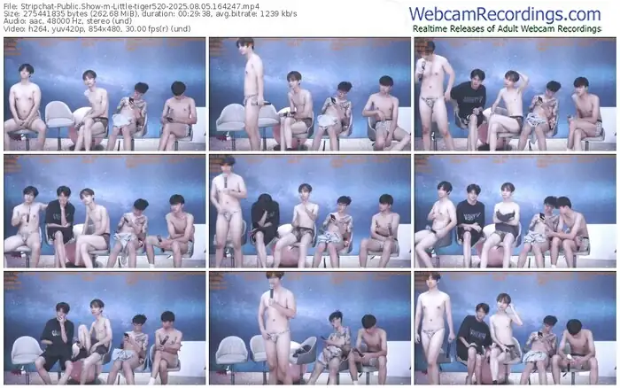 stripchat-little-tiger520-08-05-2025-16-42-47