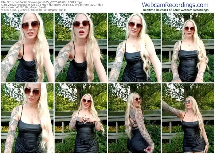 stripchat-june695_-08-06-2025-17-08-49