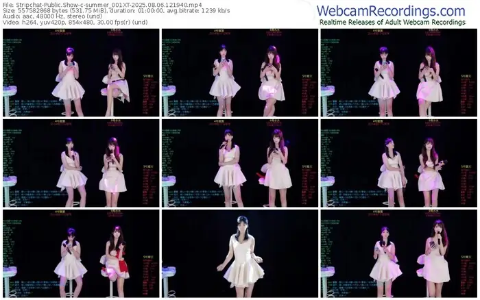 stripchat-summer_001xt-08-06-2025-12-19-40