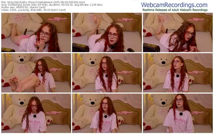 stripchat-sashameow-08-06-2025-00-53-02
