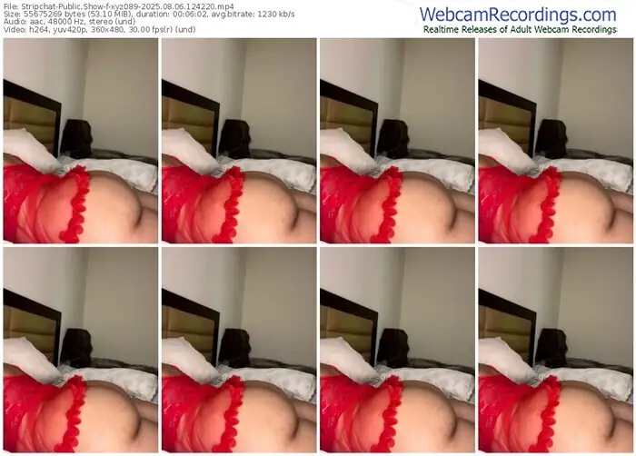 stripchat-xyz089-08-06-2025-12-42-20