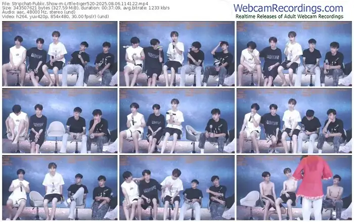 stripchat-little-tiger520-08-06-2025-11-41-22