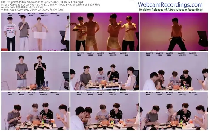 stripchat-mass-6677-08-06-2025-14-47-14