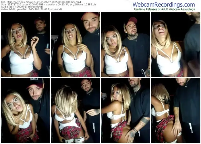 stripchat-littlenoah07-08-07-2025-00-08-25