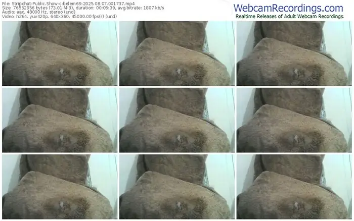 stripchat-belem69-08-07-2025-00-17-37