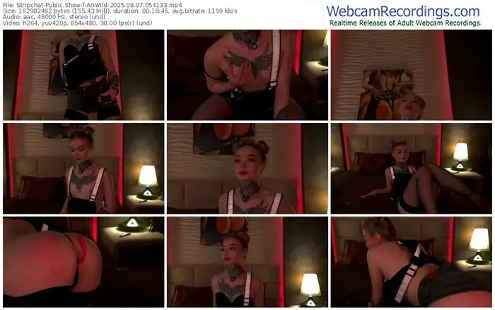 stripchat-ariwild-08-07-2025-05-41-33
