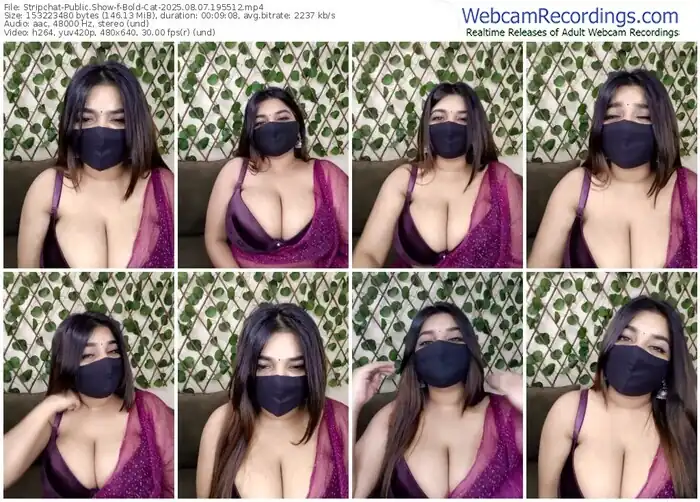stripchat-bold-cat-08-07-2025-19-55-12