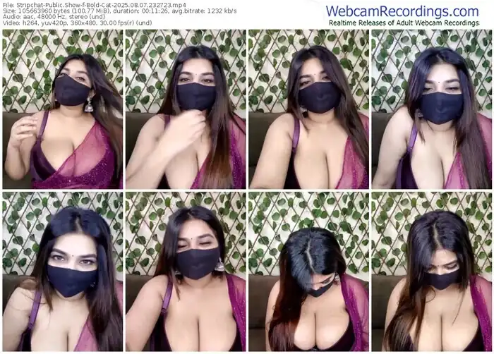 stripchat-bold-cat-08-07-2025-23-27-23