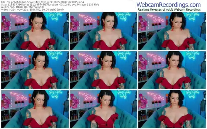 stripchat-my_toys_pink-08-07-2025-02-32-05