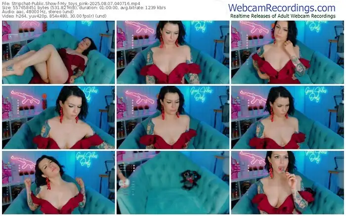 stripchat-my_toys_pink-08-07-2025-04-07-16